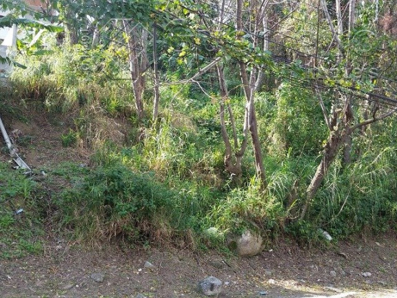 Imagem Terreno à Venda, 480 m² em Saco Grande - Florianópolis Imagem Terreno à Venda, 480 m² em Saco Grande - Florianópolis