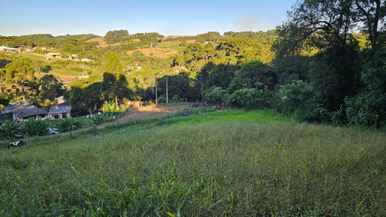 Imagem Fazenda à Venda, em Zona Rural - Araucaria Imagem Fazenda à Venda, em Zona Rural - Araucaria