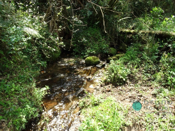 Imagem Imóvel à Venda, 120.000 m² em Zona Rural - Alfredo Wagner Imagem Imóvel à Venda, 120.000 m² em Zona Rural - Alfredo Wagner