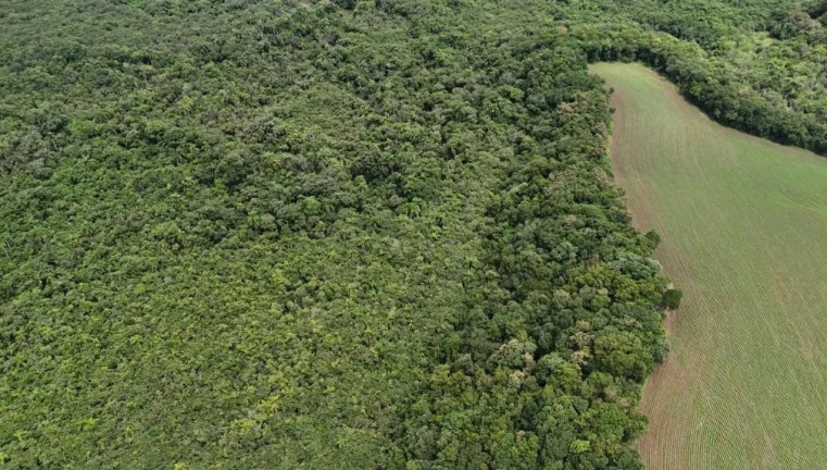 Imagem Fazenda à Venda, 242.000 m² em Rio Verde Abaixo - Araucaria Imagem Fazenda à Venda, 242.000 m² em Rio Verde Abaixo - Araucaria