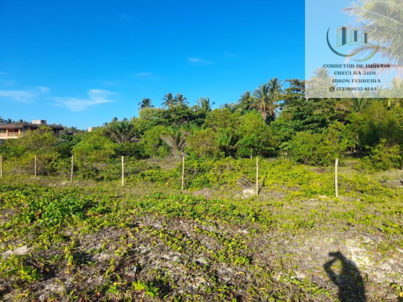Imagem Terreno à Venda, 30.000 m² em Pé Na Areia Em Santo André - Santa Cruz Cabrália Imagem Terreno à Venda, 30.000 m² em Pé Na Areia Em Santo André - Santa Cruz Cabrália