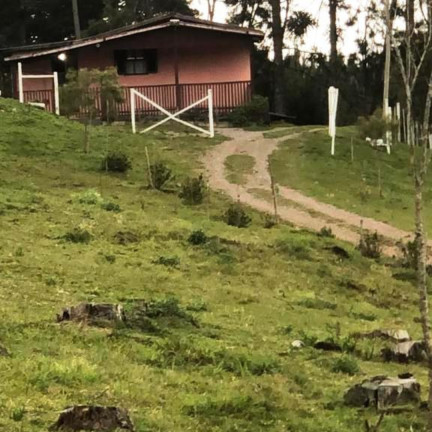 Imagem Imóvel com 4 Quartos à Venda, 150 m² em Vila Seca - Caxias Do Sul