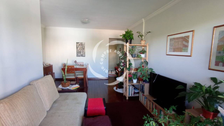 Imagem Apartamento com 3 Quartos à Venda, 79 m² em Vila Firmiano Pinto - São Paulo Imagem Apartamento com 3 Quartos à Venda, 79 m² em Vila Firmiano Pinto - São Paulo