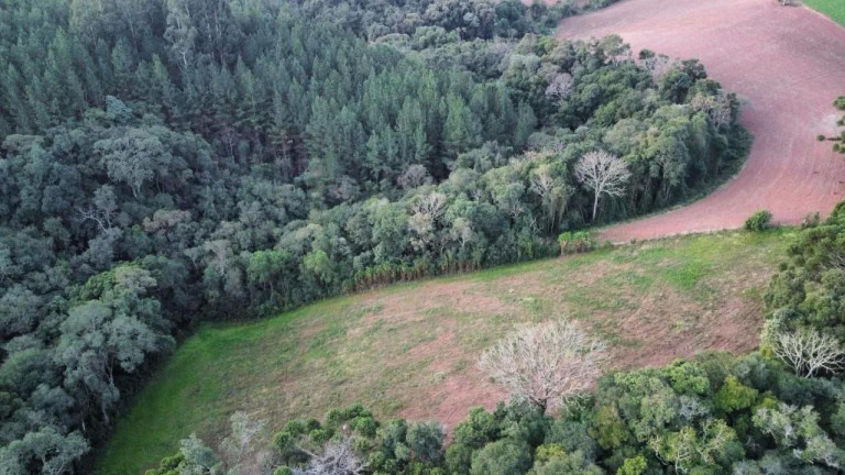 Imagem Imóvel com 5 Quartos à Venda, 48.000 m² em São João Do Caiva - Lapa Imagem Imóvel com 5 Quartos à Venda, 48.000 m² em São João Do Caiva - Lapa