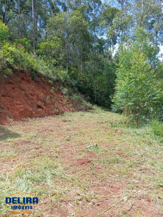 Imagem Chácara com 2 Quartos à Venda, 1 m² em Ribeirão Acima - Nazaré Paulista