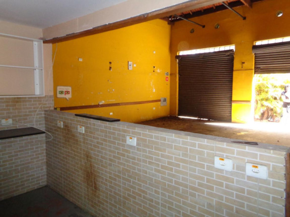 Imagem Casa com 3 Quartos para Alugar, 250 m² em Vila Anglo Brasileira - São Paulo Imagem Casa com 3 Quartos para Alugar, 250 m² em Vila Anglo Brasileira - São Paulo