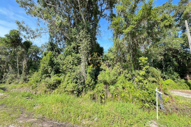 Imagem Terreno à Venda, 375 m² em Pontal Do Norte - Itapoá Imagem Terreno à Venda, 375 m² em Pontal Do Norte - Itapoá