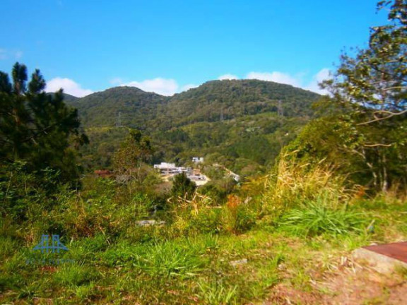 Imagem Terreno à Venda, 747 m² em Itacorubi - Florianópolis