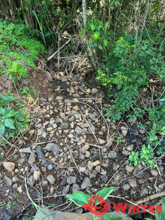 Imagem Chácara à Venda, 107.448 m² em Canto Chuchu - Linha Nova Imagem Chácara à Venda, 107.448 m² em Canto Chuchu - Linha Nova