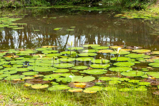 Imagem Terreno à Venda, em Rio Do Meio - Camboriu Imagem Terreno à Venda, em Rio Do Meio - Camboriu
