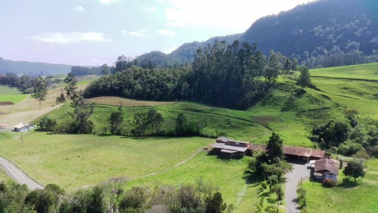 Imagem Imóvel com 3 Quartos à Venda, 100.000 m² em Zona Rural - Agrolândia