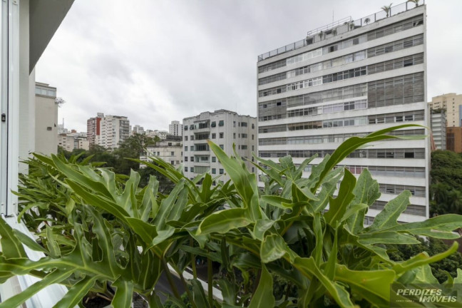 Imagem Apartamento com 3 Quartos à Venda, 239 m² em Higienópolis - São Paulo Imagem Apartamento com 3 Quartos à Venda, 239 m² em Higienópolis - São Paulo