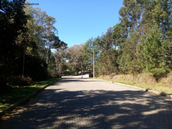 Terreno à Venda, 528 m² em Juriti - Nova Petrópolis
