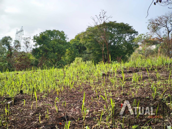 Imagem Terreno à Venda, 353 m² em Jundiaizinho (terra Preta) - Mairiporã