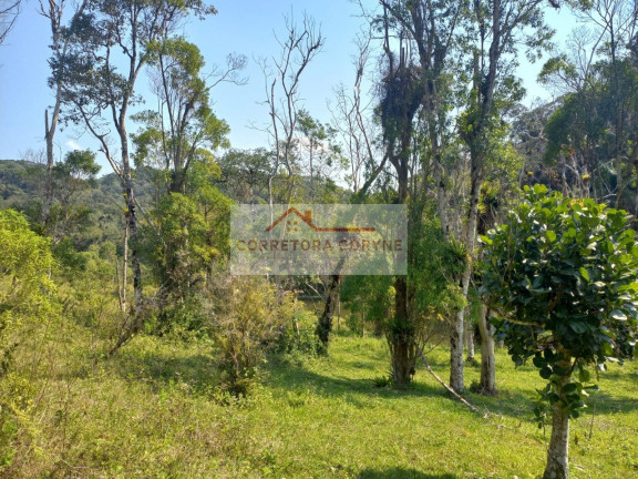 Imagem Terreno à Venda, 24.000 m² em Palmeiras - Juquitiba Imagem Terreno à Venda, 24.000 m² em Palmeiras - Juquitiba