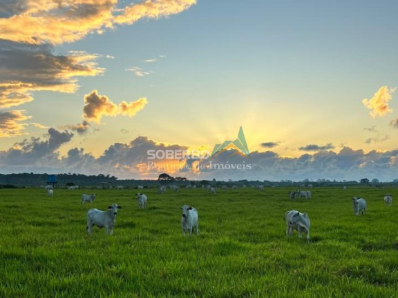 Imagem Imóvel com 4 Quartos à Venda, 5.870.000 m² em Caraiva - Porto Seguro