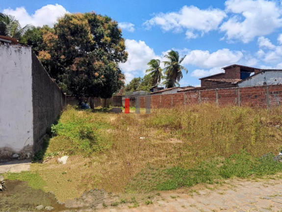 Imagem Terreno à Venda, 530 m² em São José - Macaíba Imagem Terreno à Venda, 530 m² em São José - Macaíba