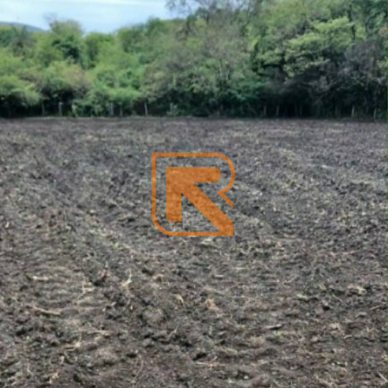 Imagem Fazenda à Venda, 1.030.000 m² em Distrito Jk - Formosa Imagem Fazenda à Venda, 1.030.000 m² em Distrito Jk - Formosa