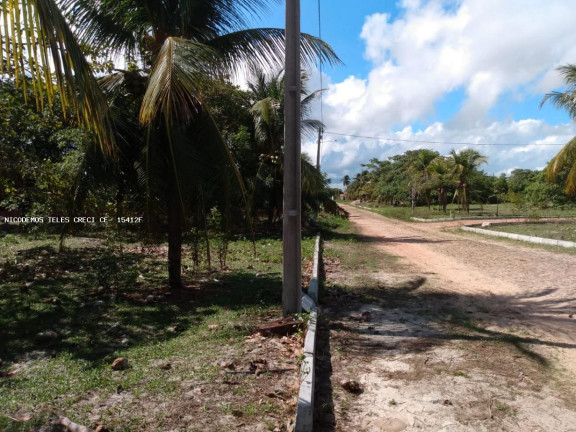 Imagem Terreno à Venda, 250 m² em Jardim - Paracuru Imagem Terreno à Venda, 250 m² em Jardim - Paracuru