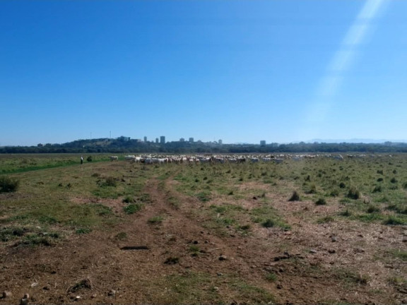 Imagem Fazenda à Venda, 4.460.000 m² em Bairros Da Pernambucana - São José Dos Campos