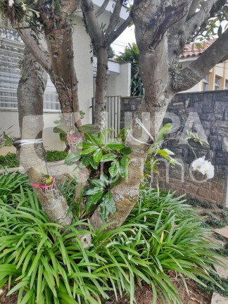 Imagem Casa com 4 Quartos à Venda, 268 m² em Tremembé - São Paulo Imagem Casa com 4 Quartos à Venda, 268 m² em Tremembé - São Paulo
