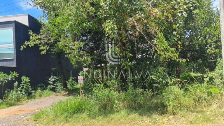 Imagem Terreno à Venda, 310 m² em Campos Do Iguaçu - Foz Do Iguacu Imagem Terreno à Venda, 310 m² em Campos Do Iguaçu - Foz Do Iguacu