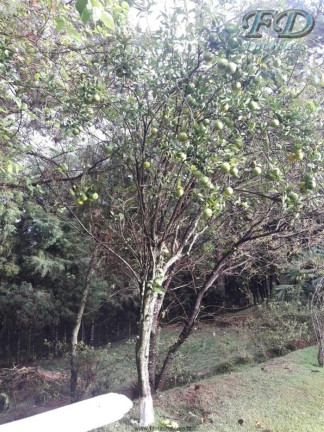 Imagem Chácara com 2 Quartos à Venda, 1.290 m² em Terra Preta - Mairiporã Imagem Chácara com 2 Quartos à Venda, 1.290 m² em Terra Preta - Mairiporã