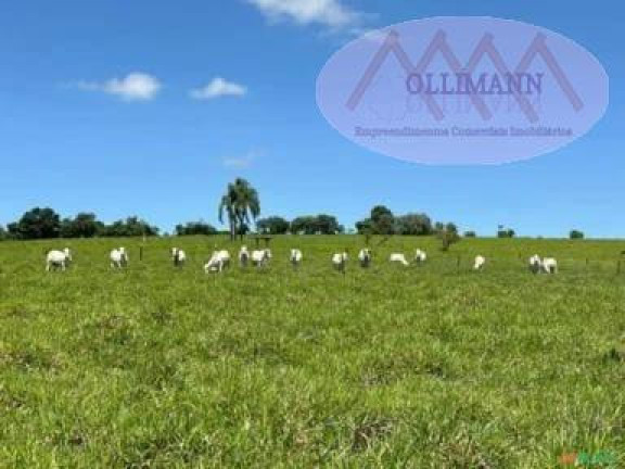 Imagem Terreno à Venda, 87 m² em Capela Do Alto - Capela Do Alto Imagem Terreno à Venda, 87 m² em Capela Do Alto - Capela Do Alto