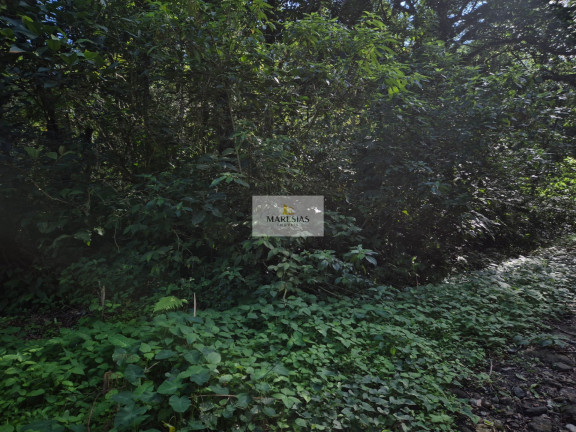 Terreno à Venda, 300 m² em Maresias - São Sebastião