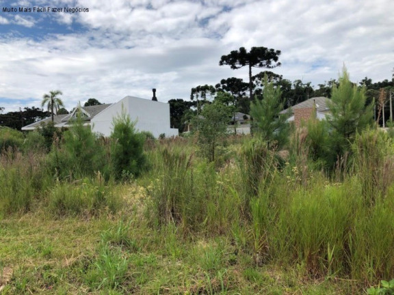 Terreno à Venda, 450 m² em Germânia - Nova Petrópolis