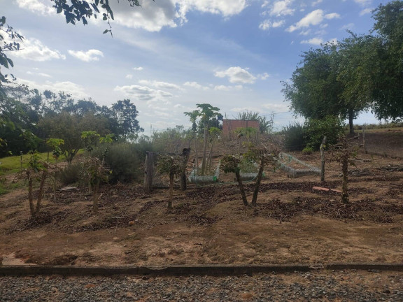 Imagem Chácara com 2 Quartos à Venda, 22.000 m² em Bairro Dos Leites - Piedade Imagem Chácara com 2 Quartos à Venda, 22.000 m² em Bairro Dos Leites - Piedade