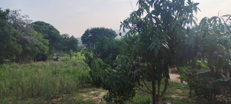 Chácara à Venda, 1.800 m² em Canguera - Capela Do Alto