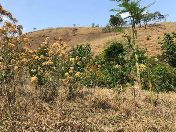 Imagem Fazenda à Venda, 17.000 m² em área Rural De Itajubá - Itajubá Imagem Fazenda à Venda, 17.000 m² em área Rural De Itajubá - Itajubá
