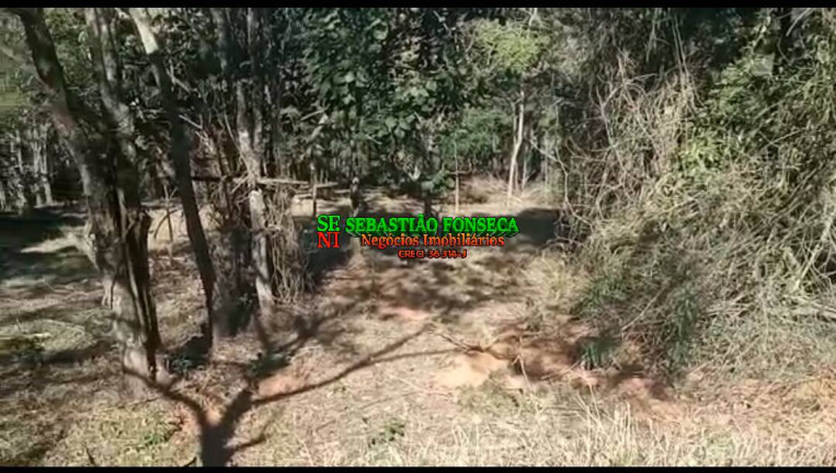 Imagem Chácara à Venda, 30 m² em Souza - Monteiro Lobato Imagem Chácara à Venda, 30 m² em Souza - Monteiro Lobato