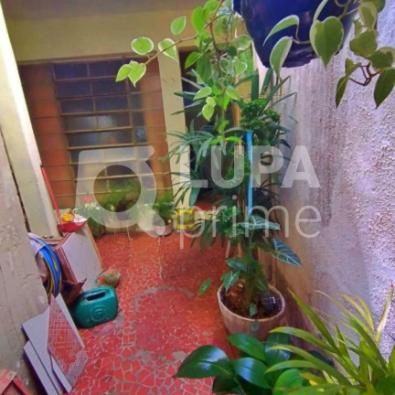 Imagem Casa com 1 Quarto à Venda, 175 m² em Vila Maria Alta - São Paulo