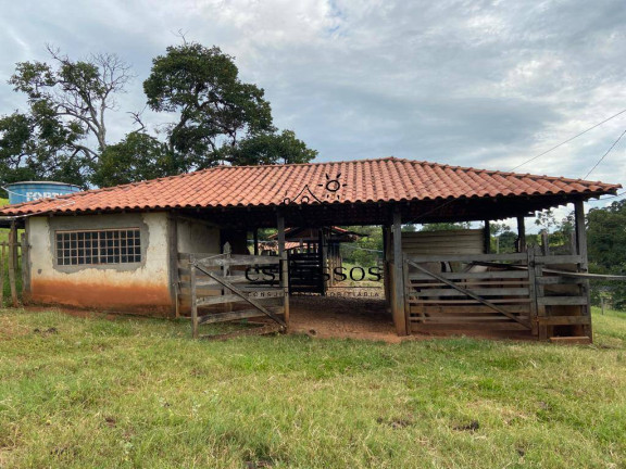 Imagem Fazenda à Venda, 110.000 m² em Cachoeira De Almas - Florestal Imagem Fazenda à Venda, 110.000 m² em Cachoeira De Almas - Florestal