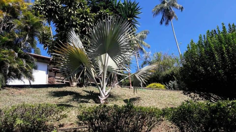 Imagem Casa com 3 Quartos à Venda, 1 m² em Santa Elisa - Nova Friburgo