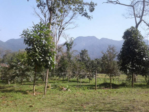 Imagem Terreno em Condomínio à Venda, 360 m² em Sertão Da Quina - Ubatuba Imagem Terreno em Condomínio à Venda, 360 m² em Sertão Da Quina - Ubatuba