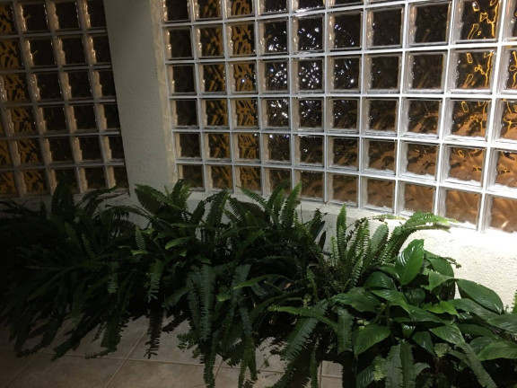 Imagem Chácara à Venda, 12 m² em Fazendinha - Piedade Imagem Chácara à Venda, 12 m² em Fazendinha - Piedade