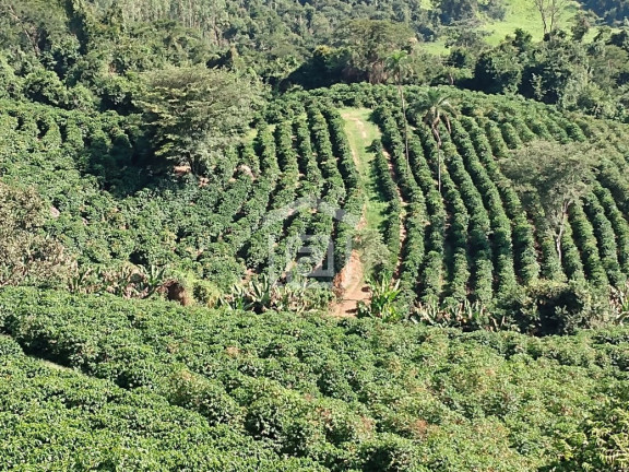 Imóvel à Venda, 1 m² em Souza Lima - Poços De Caldas
