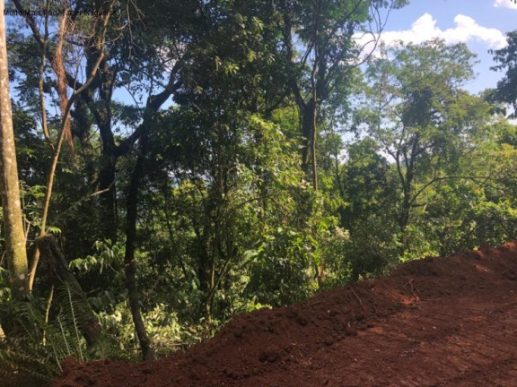 Imagem Terreno à Venda, 3 m² em Linha Olinda - Nova Petrópolis