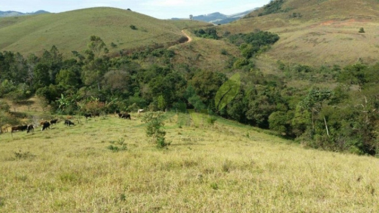 Imagem Chácara com 4 Quartos à Venda, 193.600 m² em Centro - Piracaia Imagem Chácara com 4 Quartos à Venda, 193.600 m² em Centro - Piracaia