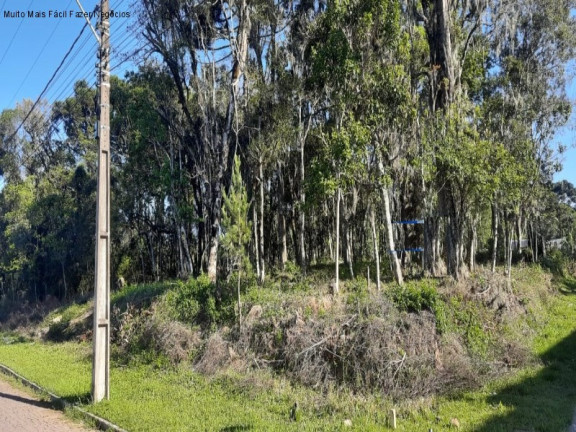 Terreno à Venda, 848 m² em Vila Germânia - Nova Petrópolis