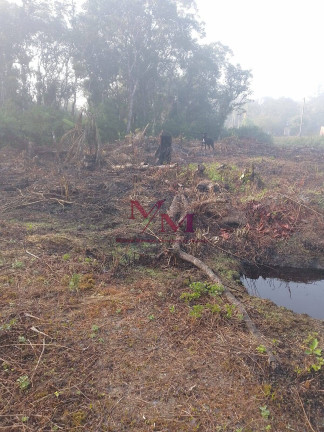 Imagem Terreno à Venda, 1.600 m² em Guaraguaçu - Pontal Do Paraná Imagem Terreno à Venda, 1.600 m² em Guaraguaçu - Pontal Do Paraná