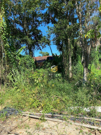 Imagem Terreno à Venda, 266 m² em Zimbros - Bombinhas Imagem Terreno à Venda, 266 m² em Zimbros - Bombinhas