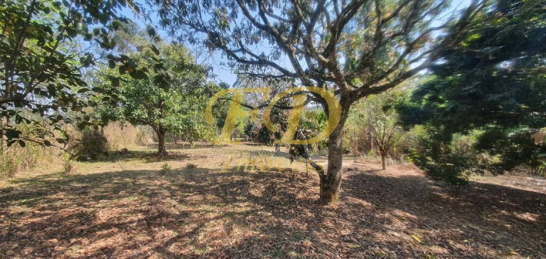 Imagem Chácara com 4 Quartos à Venda, 1.000 m² em São Vicente - Mairiporã Imagem Chácara com 4 Quartos à Venda, 1.000 m² em São Vicente - Mairiporã