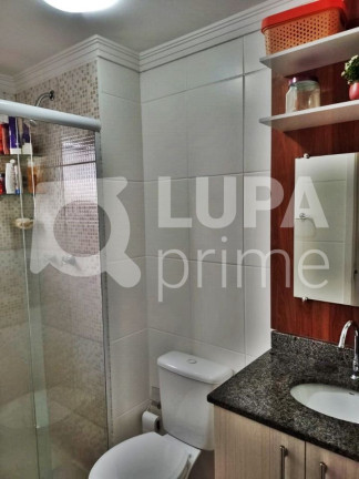 Imagem Apartamento com 3 Quartos à Venda, 67 m² em Vila Constança - São Paulo