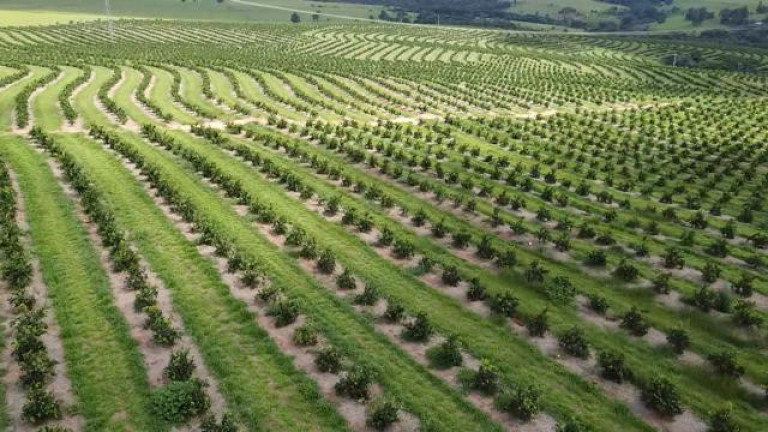 Imagem Fazenda à Venda, 121 m² em Rio Pardo - águas De Santa Bárbara