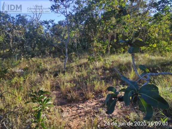 Imagem Chácara à Venda, 49.500.000 m² em Centro - Buritizeiro Imagem Chácara à Venda, 49.500.000 m² em Centro - Buritizeiro