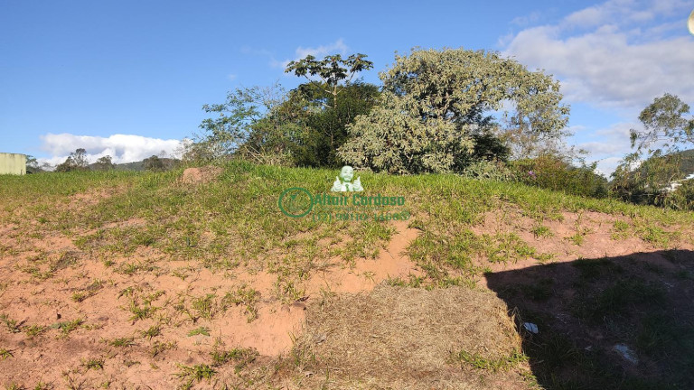Imagem Casa à Venda, 2.879 m² em Centro - Jambeiro